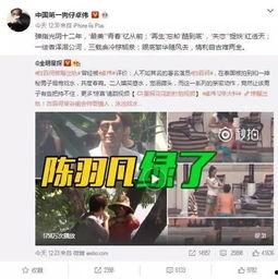 网友爆料李汶川视频播放,真相究竟如何？