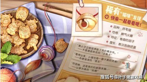 纤歌帝荣耀典藏最新爆料,揭秘全新爆料，探寻神秘力量觉醒之谜  第3张