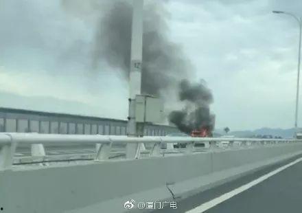 杏林大桥最新爆料视频,揭秘工程进展与神秘设计细节  第2张
