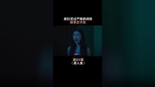 爆料搞笑转场视频素材,笑料连连，视频素材盘点  第3张