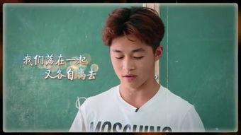 变形计高清在线观看,高清在线观看，见证人生蜕变之旅  第3张