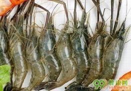 爆料人工养殖海虾视频教程,视频教程带你走进海洋养殖世界