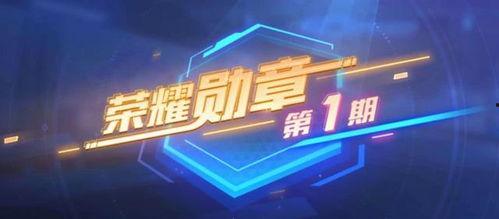 荣耀勋章最新爆料,揭秘神秘荣誉背后的故事与荣耀时刻  第2张