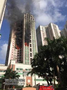 深圳新闻网爆料,揭秘背后惊人真相  第3张