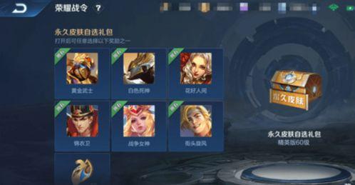 s20王者荣耀最新爆料,神秘英雄登场，战局再掀风云  第2张