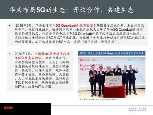 团山最新爆料新闻报道,揭秘神秘事件背后的惊人真相  第2张