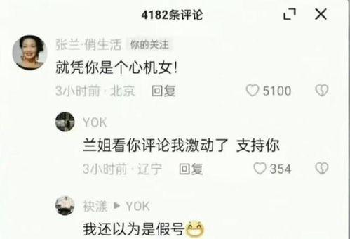 张兰最新爆料聊天记录,揭秘与某明星的惊人聊天记录  第3张