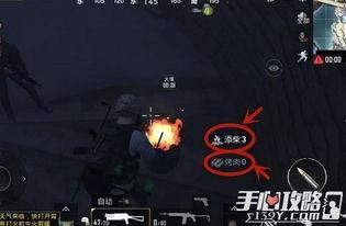 端游最新大爆料网站,独家内幕，带你领略游戏世界新篇章  第2张