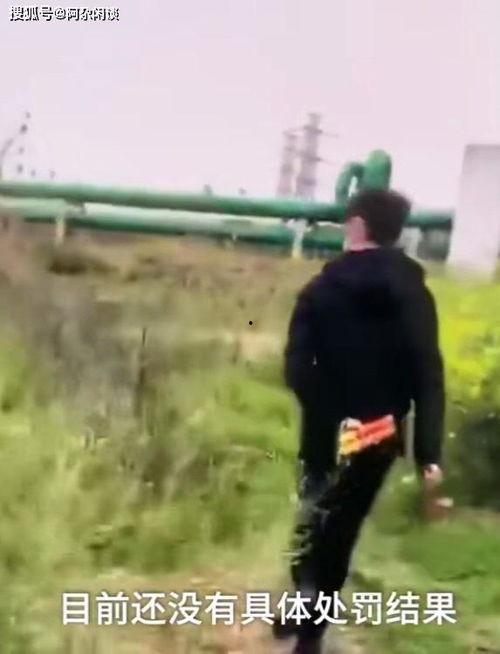 大爆料小羊哥掉粪坑视频,视频曝光引网友热议