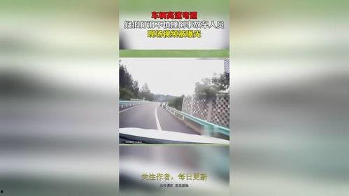 事故车现场爆料视频大全,揭秘事故车爆料视频大全