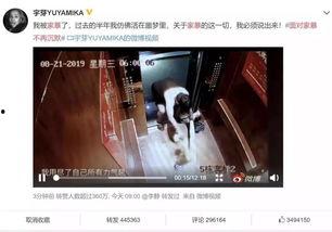 最新爆料家暴男子,最新爆料揭露男子残忍行径  第3张