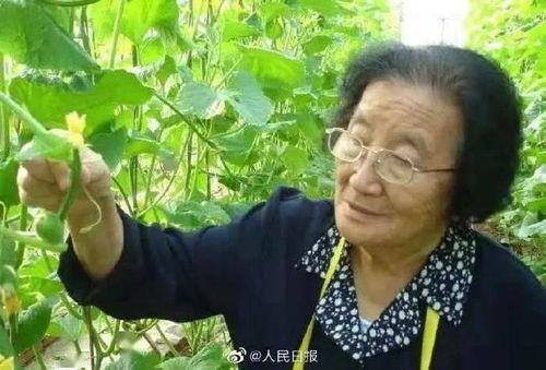 娱乐吃瓜酱连自己人也坑,坑人无数,连自己人也坑的“瓜王”传奇 第3张 娱乐吃瓜酱连自己人也坑,坑人无数,连自己人也坑的“瓜王”传奇 第3张