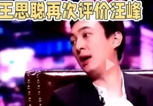 王思聪爆料汪峰视频播放,揭秘娱乐圈幕后真相 第3张 王思聪爆料汪峰视频播放,揭秘娱乐圈幕后真相 第3张