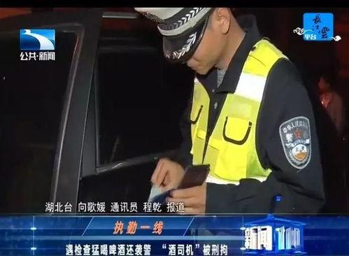 新闻爆料袭警视频播放大全,正义与勇气的较量  第3张