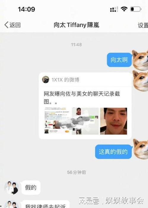 向佐真实爆料视频播放,揭秘视频播放背后的故事