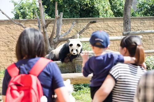网红爆料动物园视频在线观看,动物园真实画面，网友热议动物福利问题  第2张