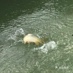 娱乐吃瓜钓鱼视频,吃瓜、钓鱼视频带你领略休闲生活新风尚  第3张
