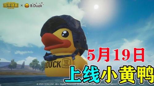 小黄鸭新版爆料视频大全,精彩瞬间尽收眼底  第2张