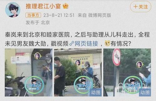 秦岚现身爆料视频播放,揭秘幕后故事 第3张 秦岚现身爆料视频播放,揭秘幕后故事 第3张