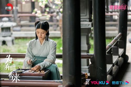 暗香电视剧在线观看,揭秘神秘家族的复仇传奇，在线观看情感纠葛与命运抉择  第3张