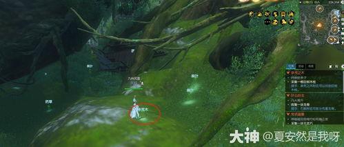 逆水寒赛季手册最新爆料,揭秘全新爆料与精彩内容前瞻  第2张