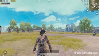 和平精英新军需爆料最新  第2张