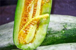 在南京吃瓜的网红是谁,南京网红“吃瓜达人”带你领略美食江湖  第2张