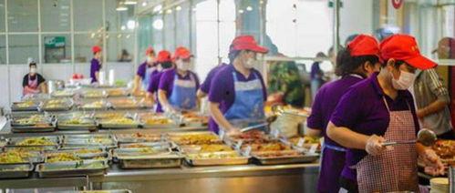 东北人食堂爆料视频大全