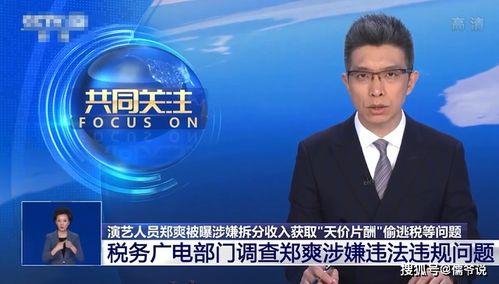 独家爆料逃税案例最新,独家爆料揭示企业避税黑幕 第3张 独家爆料逃税案例最新,独家爆料揭示企业避税黑幕 第3张