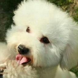 米小圈最新爆料,揭秘娱乐圈幕后真相