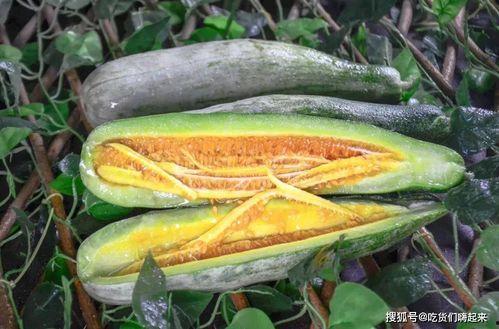 濮阳网红吃瓜,揭秘网络红人的幕后故事  第3张