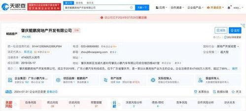 地产爆料视频大全下载最新,揭秘行业最新动态与热点事件  第3张