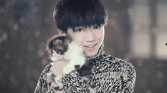 狗仔队爆料王俊凯视频,狗仔队独家爆料背后的真相  第1张