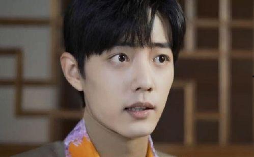 肖战爸爸爆料视频大全最新,揭秘明星家庭背后的真实生活  第2张