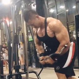 鹿晨辉徒弟爆料视频,揭秘幕后真相与惊人内幕  第3张