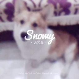 吃瓜少女喵娱乐